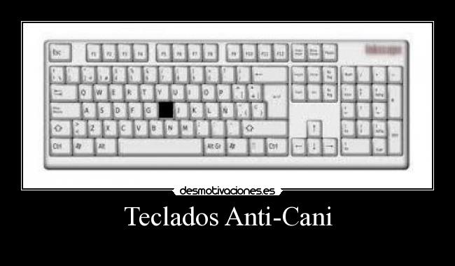 Teclados Anti-Cani -