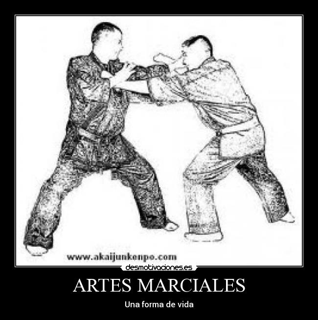 carteles artes marciales desmotivaciones