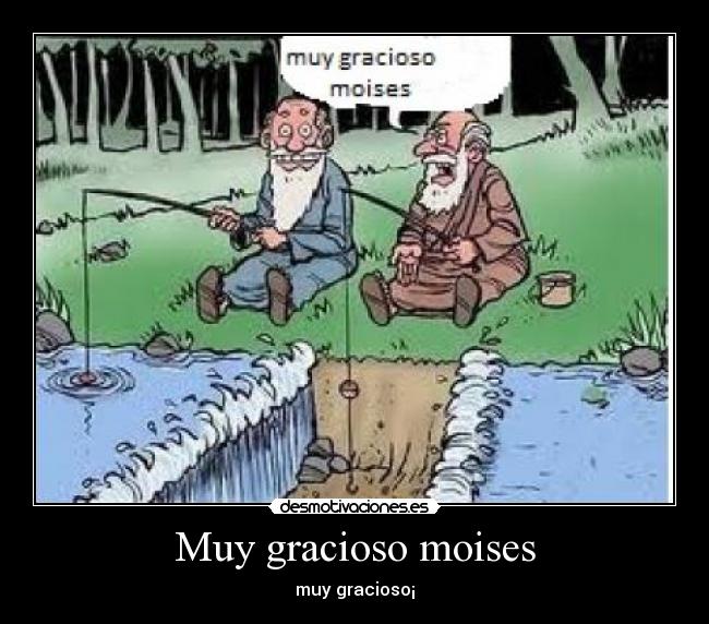 Muy gracioso moises - muy gracioso¡