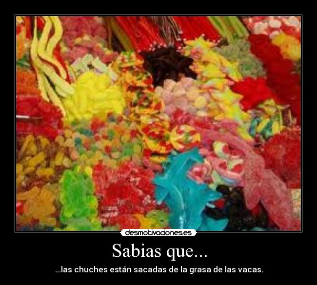 Sabias que... -