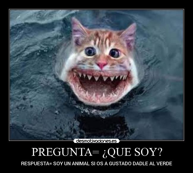 PREGUNTA= ¿QUE SOY? -