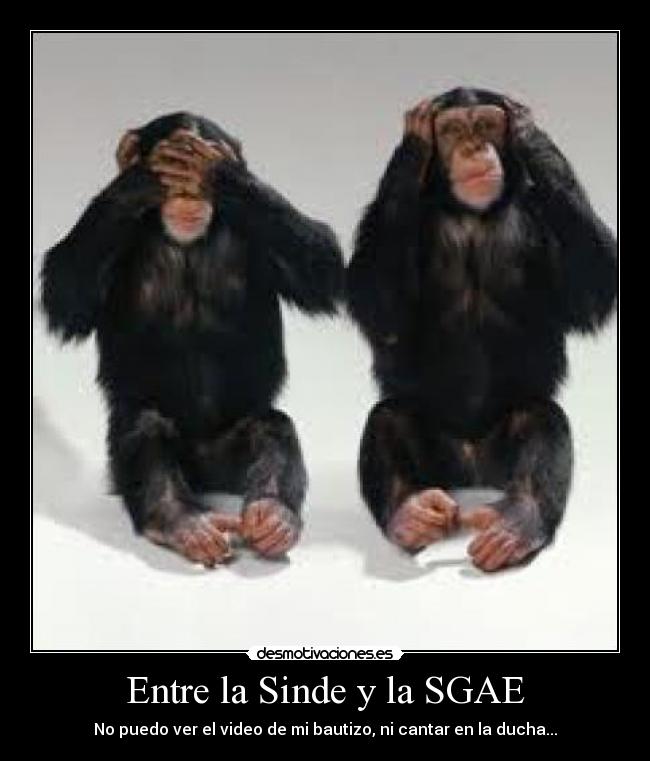 Entre la Sinde y la SGAE - 