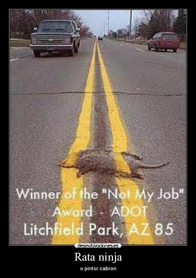 Rata ninja - o pintor cabron