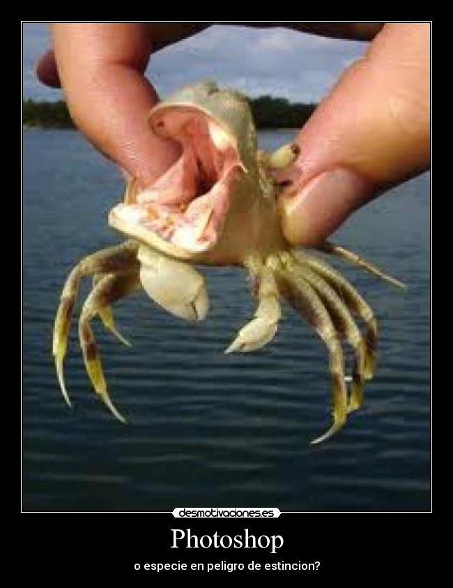 Photoshop - o especie en peligro de estincion?