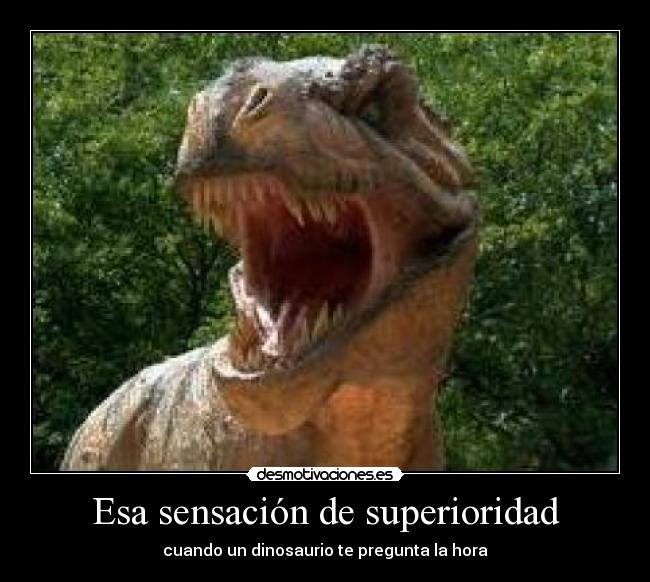 Esa sensación de superioridad -