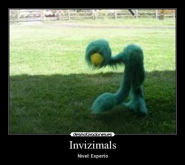 Invizimals - Nivel: Experto