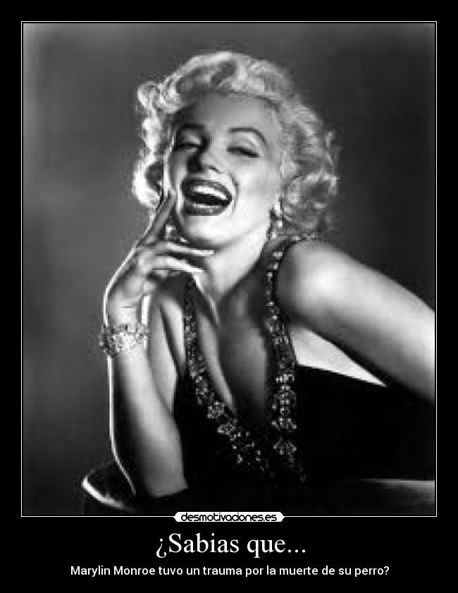 ¿Sabias que... - Marylin Monroe tuvo un trauma por la muerte de su perro?