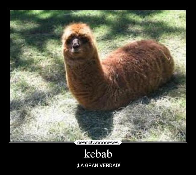 kebab - 