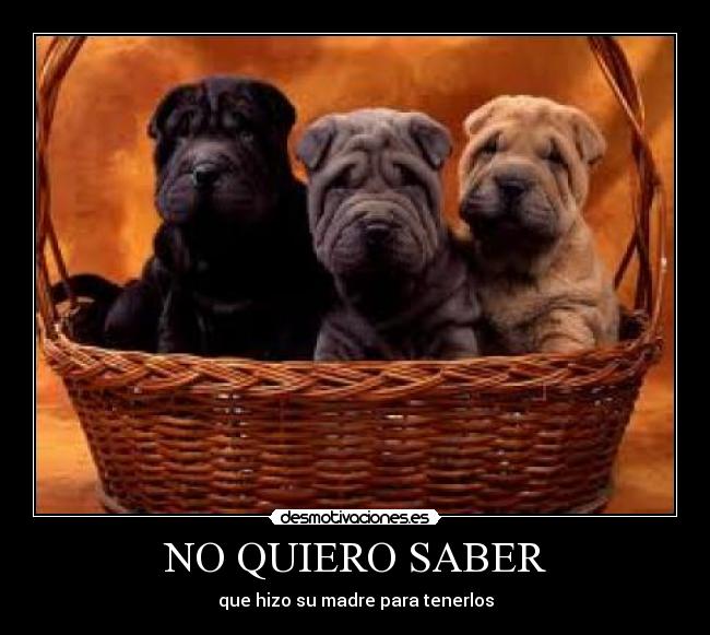 NO QUIERO SABER - que hizo su madre para tenerlos