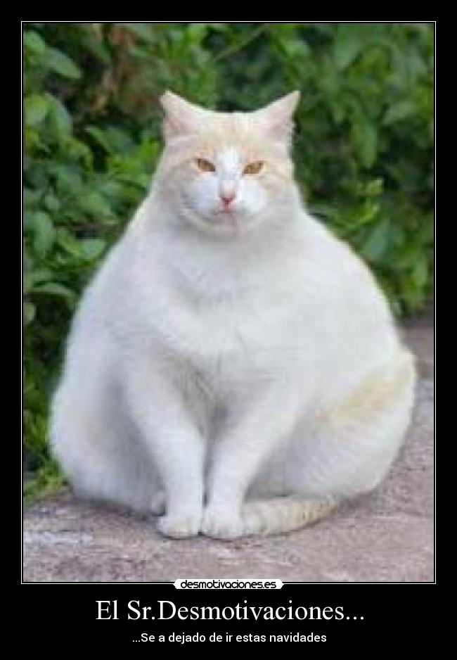 El Sr.Desmotivaciones... -