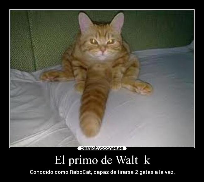 El primo de Walt_k - 