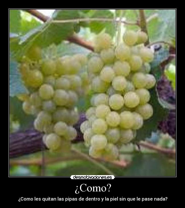 ¿Como? - 