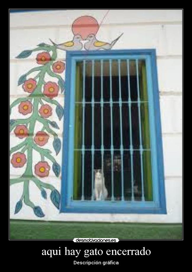 aqui hay gato encerrado -