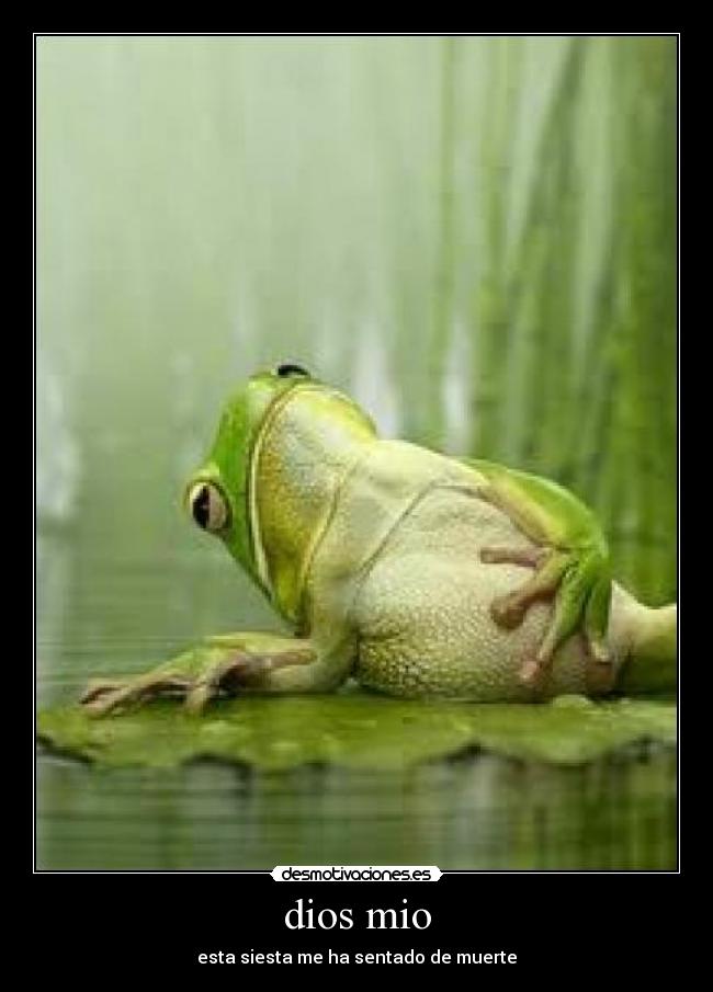 dios mio - esta siesta me ha sentado de muerte