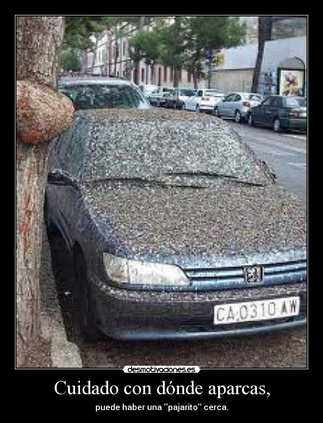 Cuidado con dónde aparcas, - 