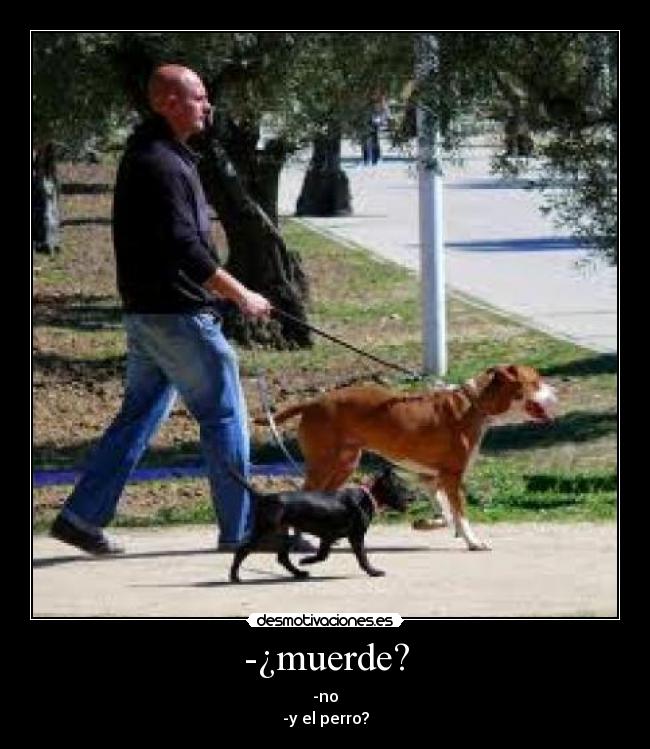 -¿muerde? - -no
-y el perro?