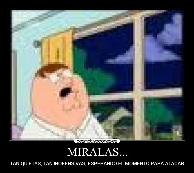 MIRALAS... - TAN QUIETAS, TAN INOFENSIVAS, ESPERANDO EL MOMENTO PARA ATACAR