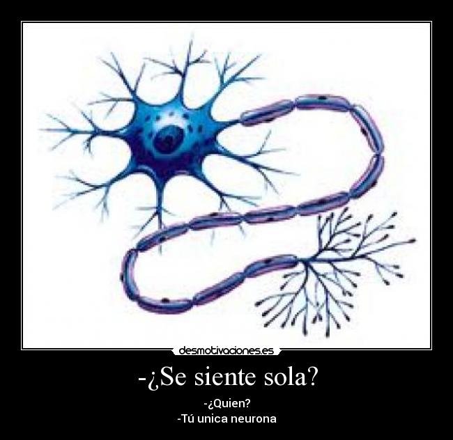 -¿Se siente sola? - -¿Quien?
-Tú unica neurona