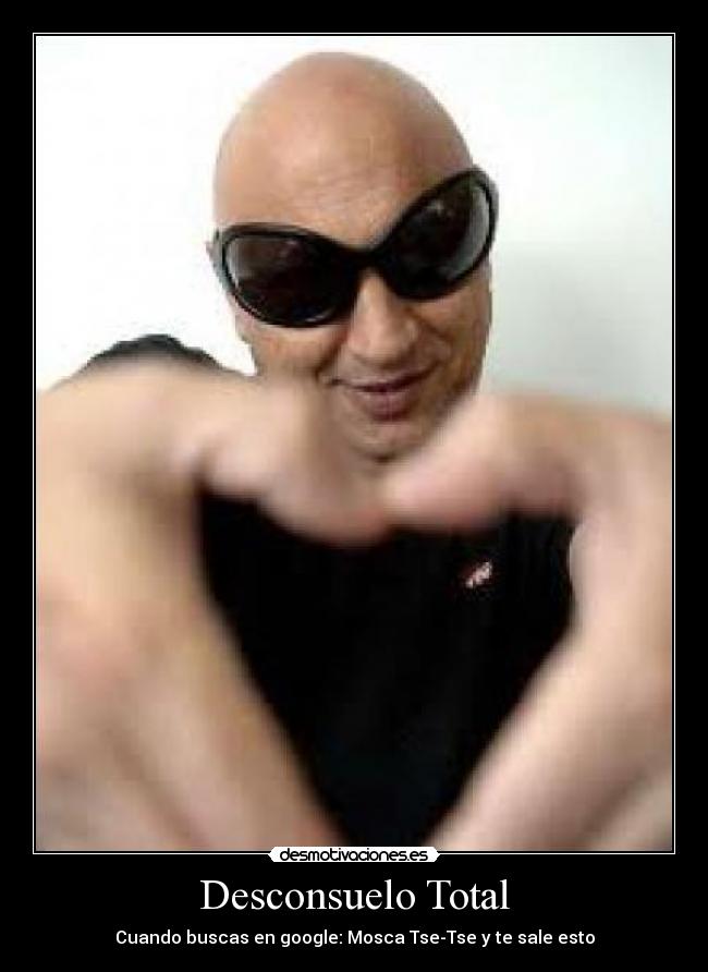 carteles desconsuelo total desmotivaciones