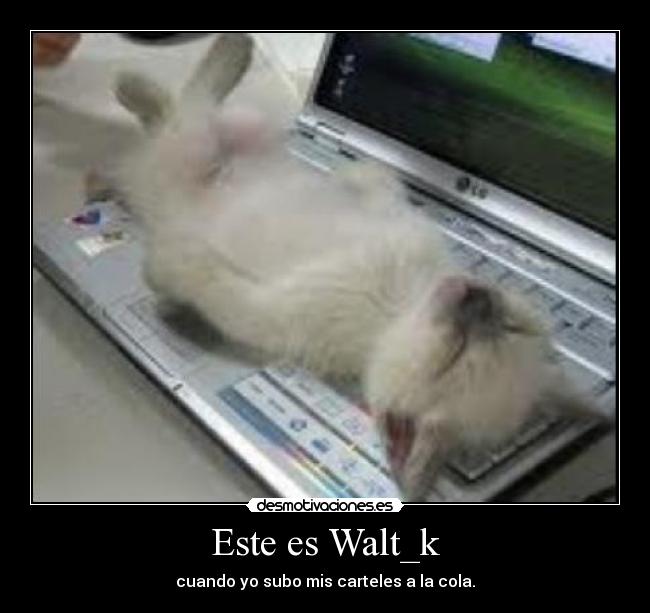 Este es Walt_k -