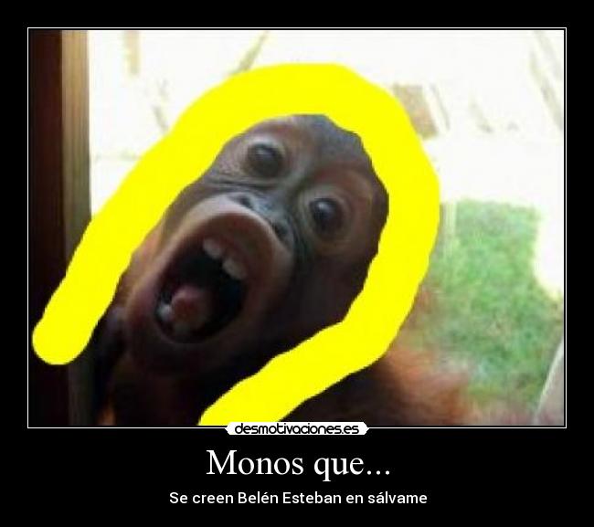 carteles monos desmotivaciones