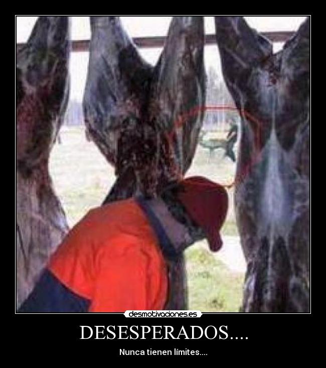DESESPERADOS.... - Nunca tienen límites....