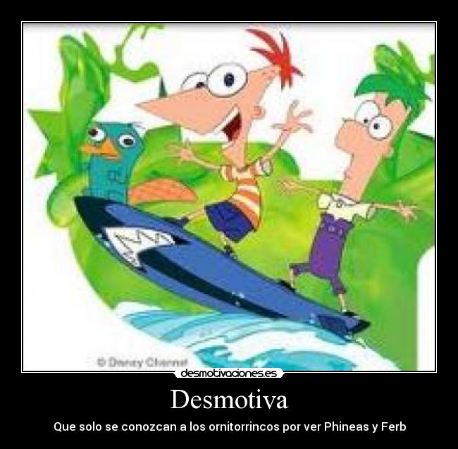 Desmotiva - Que solo se conozcan a los ornitorrincos por ver Phineas y Ferb