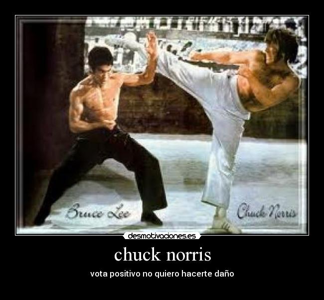 chuck norris - vota positivo no quiero hacerte daño