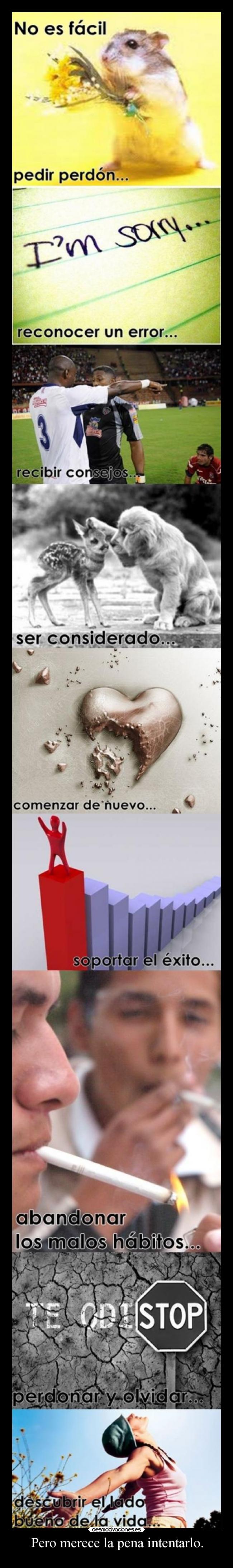 Pero merece la pena intentarlo. -