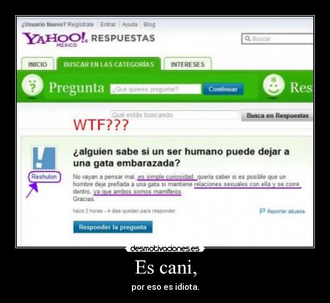 Es cani, - por eso es idiota.