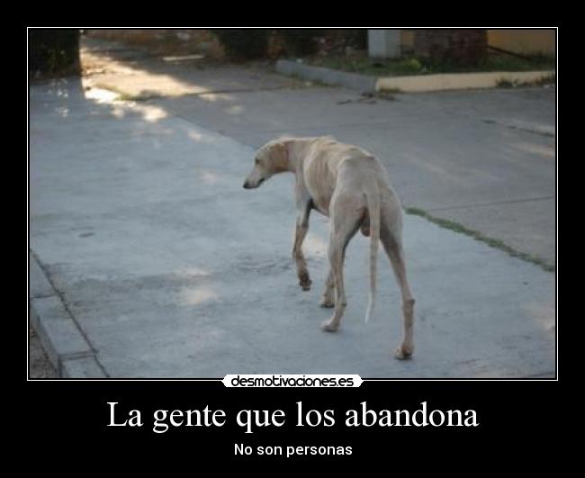 La gente que los abandona - No son personas