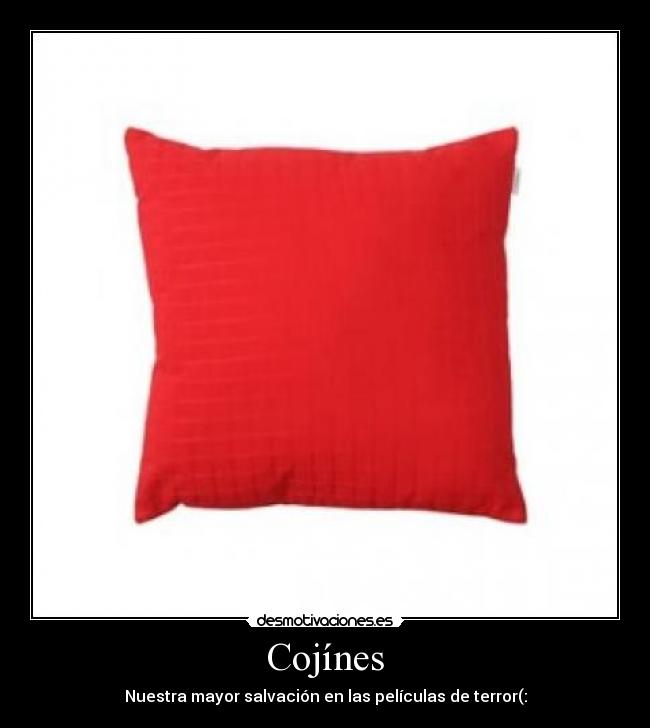Cojínes - 