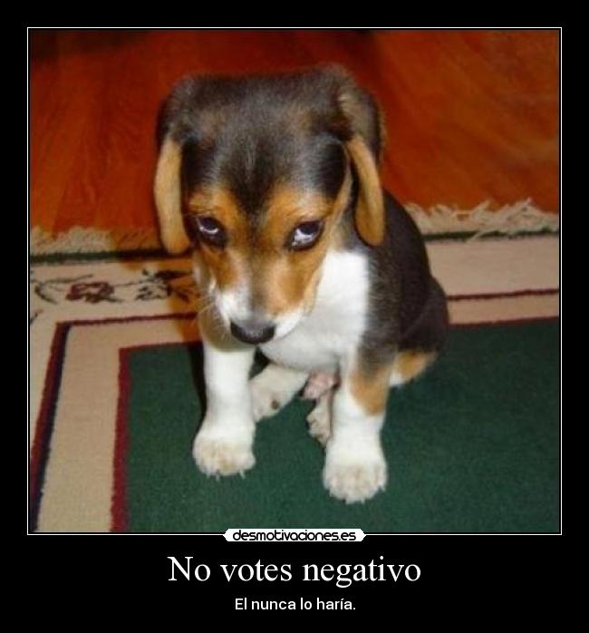 No votes negativo - 