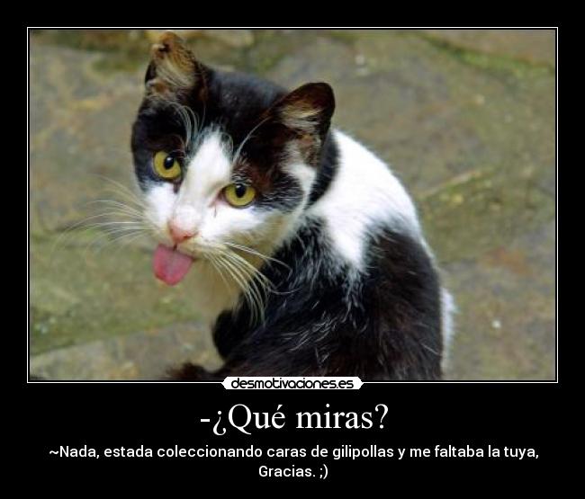 -¿Qué miras? - 