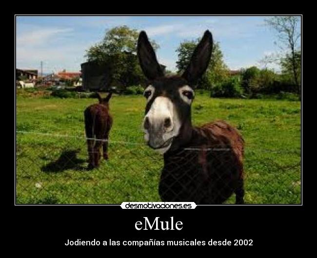 eMule - Jodiendo a las compañías musicales desde 2002