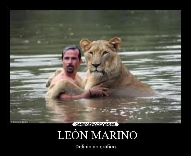  LEÓN MARINO - Definición gráfica
