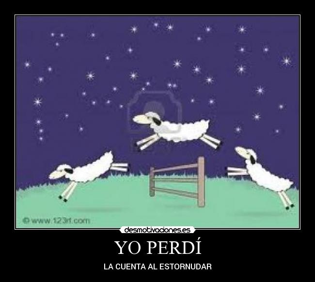 YO PERDÍ - 