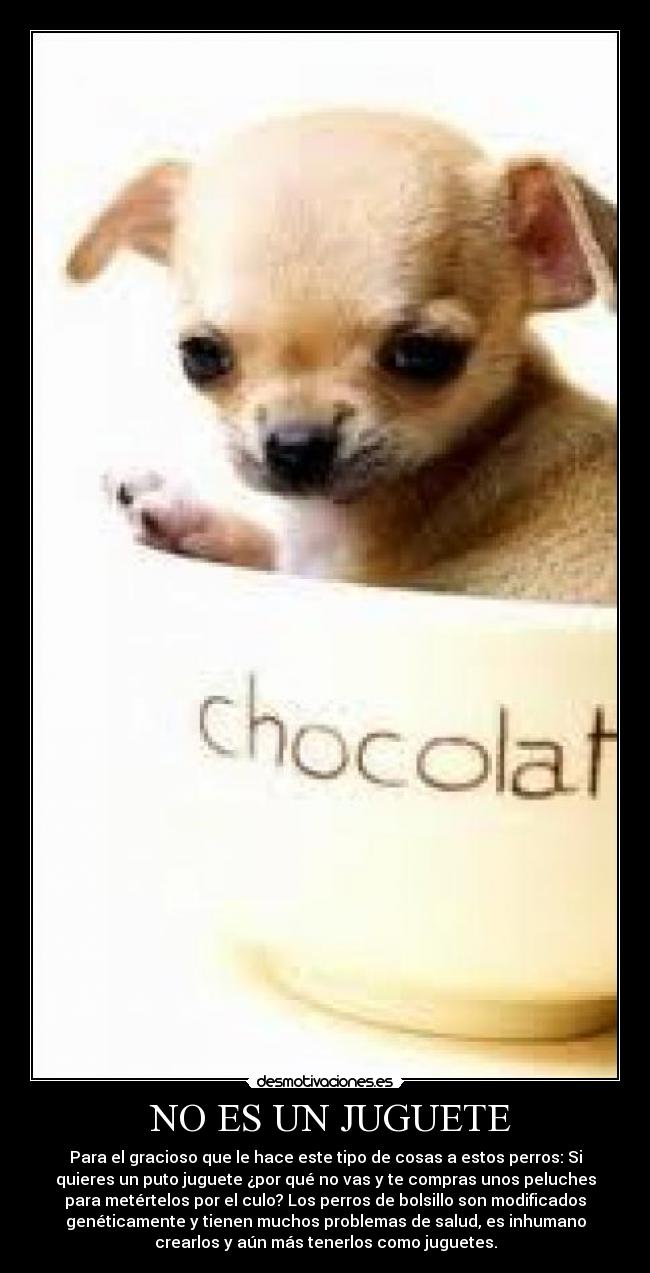 NO ES UN JUGUETE -