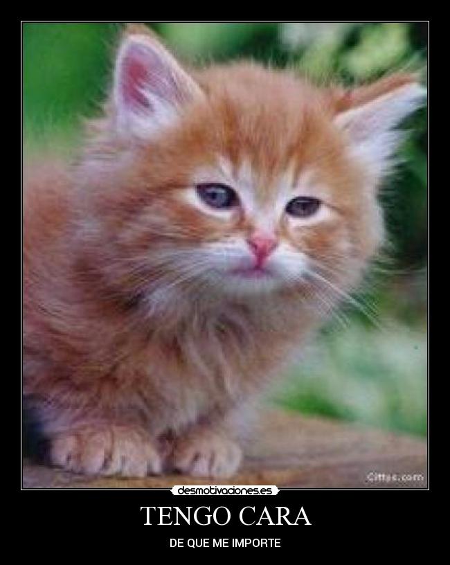 carteles  desmotivaciones