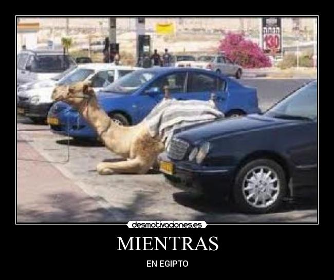 MIENTRAS -