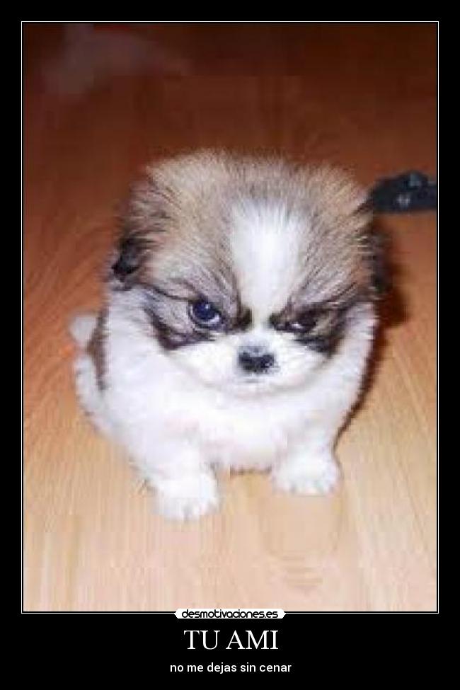 carteles samifernandez desmotivaciones