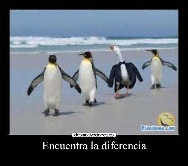 Encuentra la diferencia - 