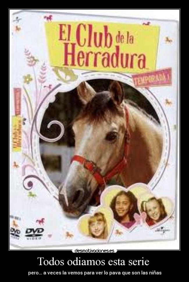 Todos odiamos esta serie -