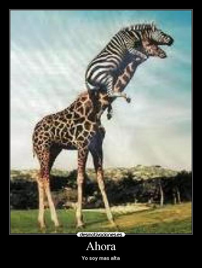Ahora - Yo soy mas alta