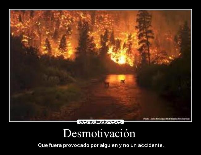 Desmotivación - Que fuera provocado por alguien y no un accidente.