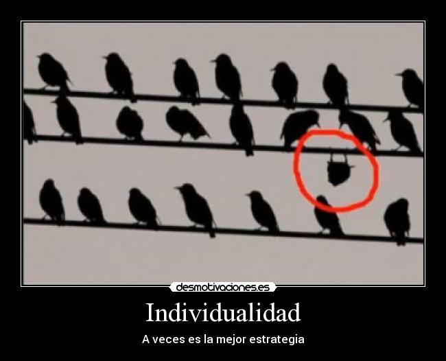 Individualidad - 