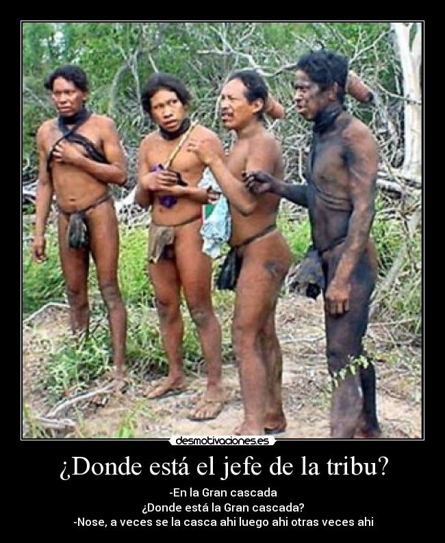 ¿Donde está el jefe de la tribu? - 