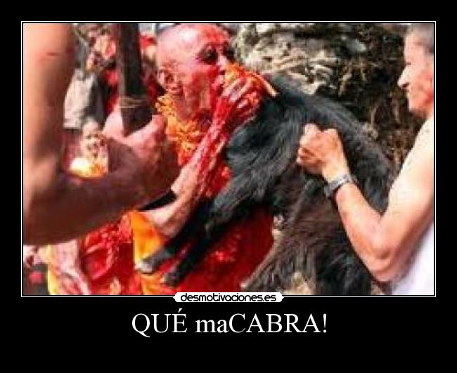 QUÉ maCABRA! -