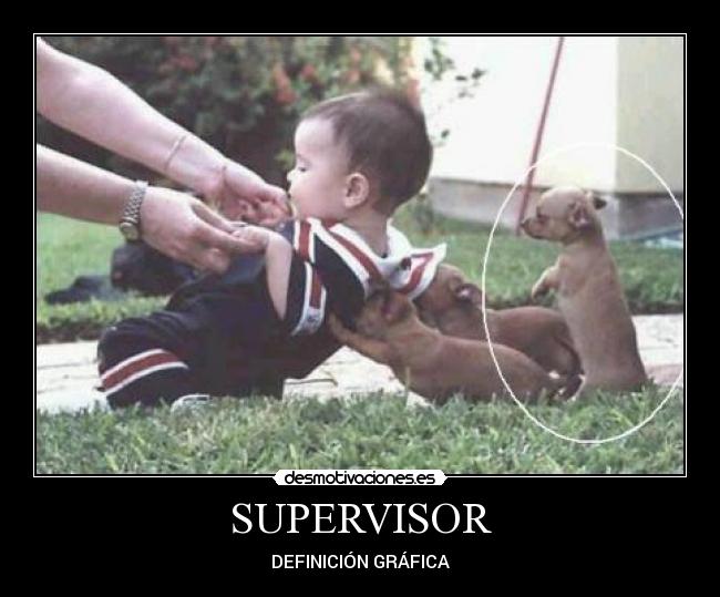 SUPERVISOR - DEFINICIÓN GRÁFICA