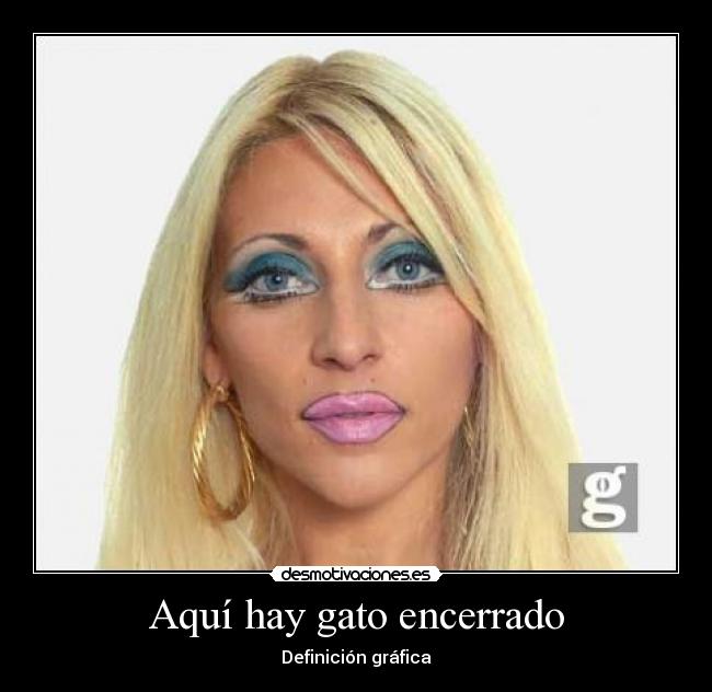 Aquí hay gato encerrado -